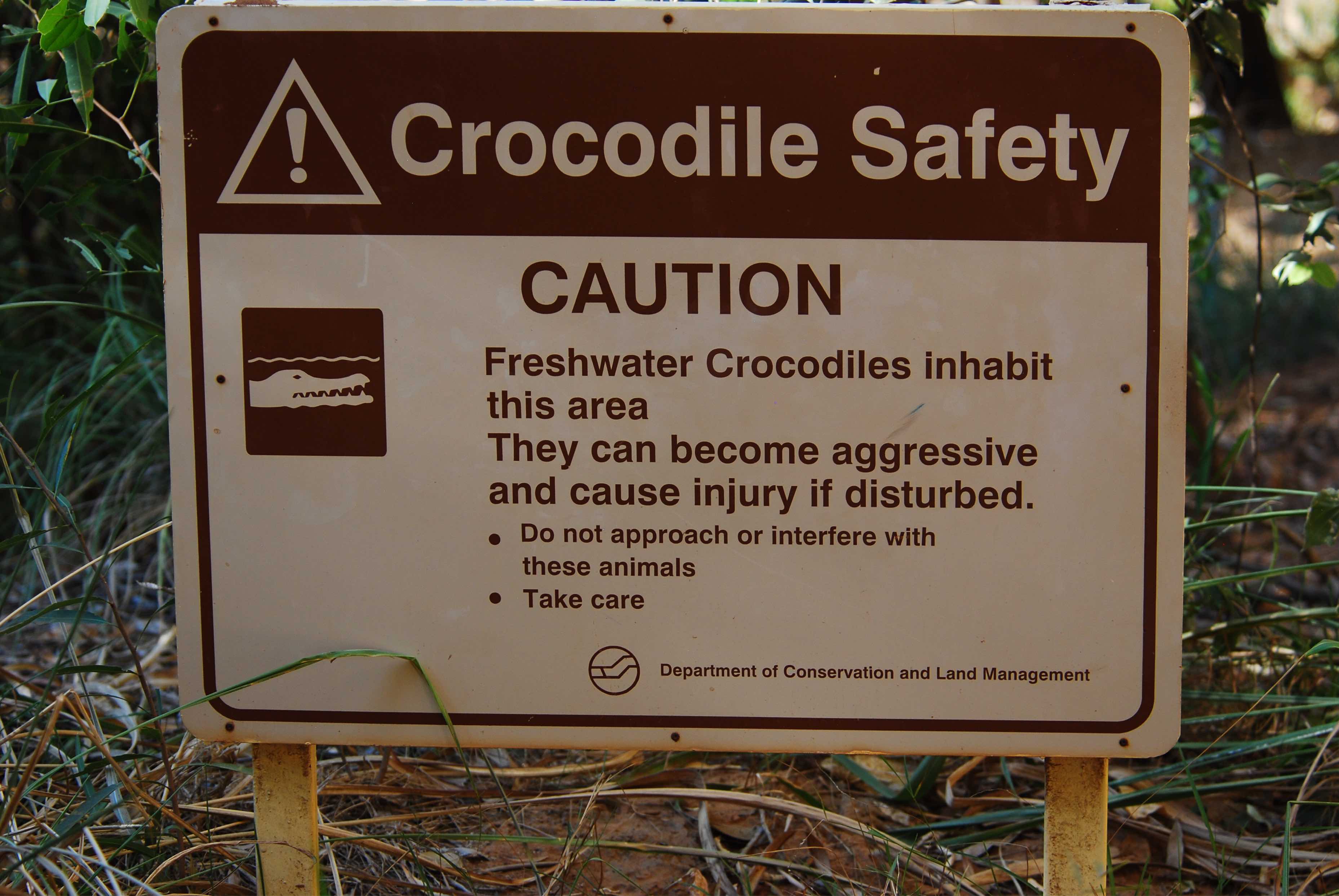 Krokodile in der Bell Gorge