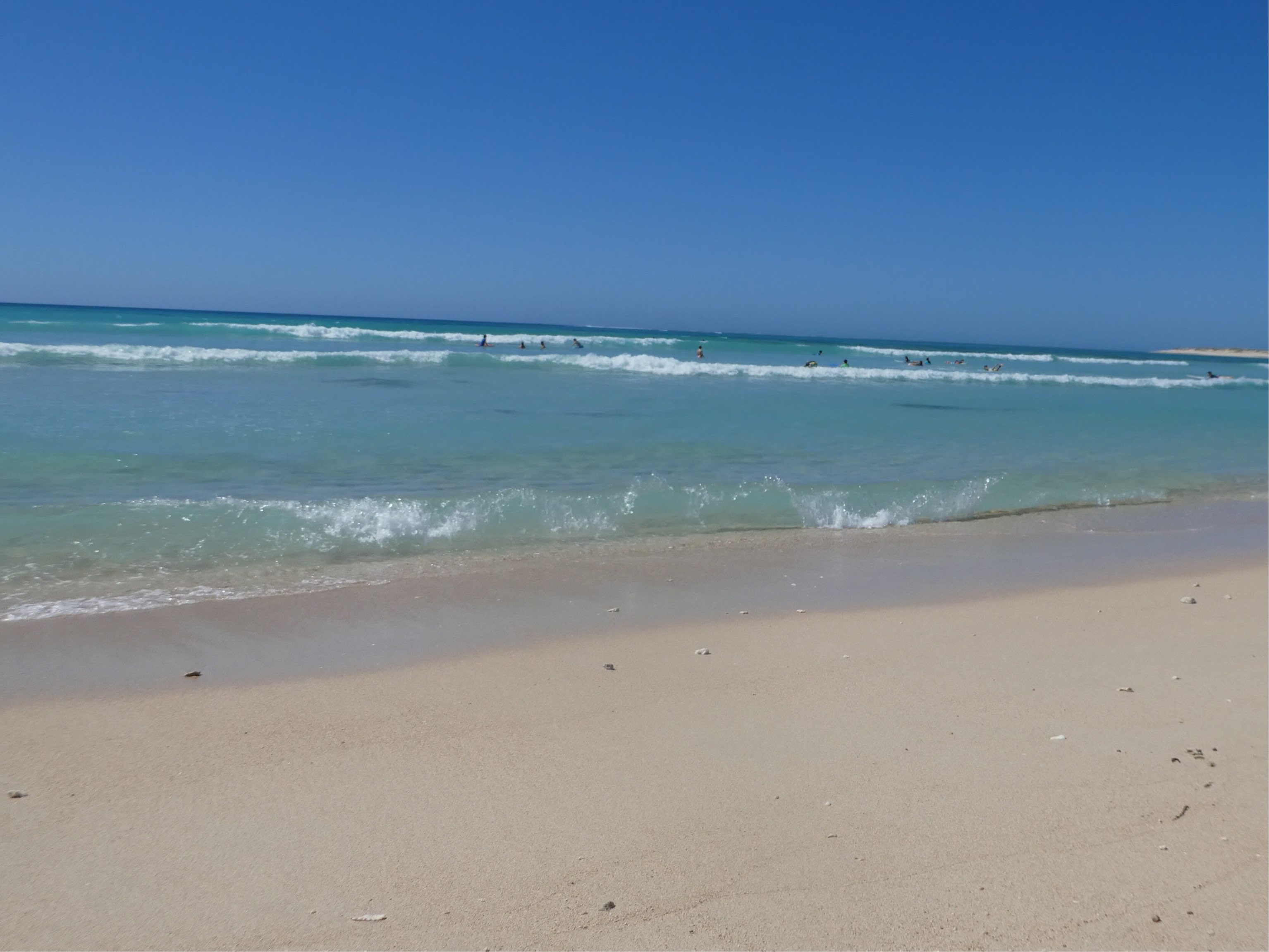 Steppenroller Reiseblog Kirsten Meyer Australien Ningaloo Marine Park Strand